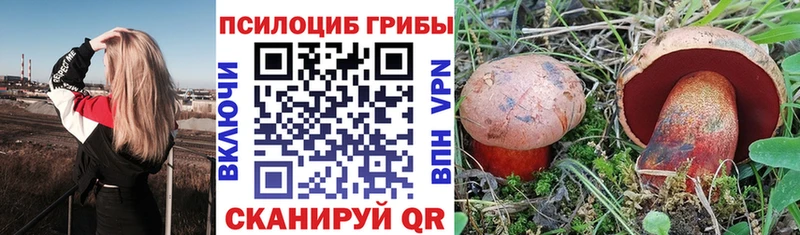 купить закладку  дарк нет телеграм  MEGA вход  Галлюциногенные грибы мицелий  Челябинск 