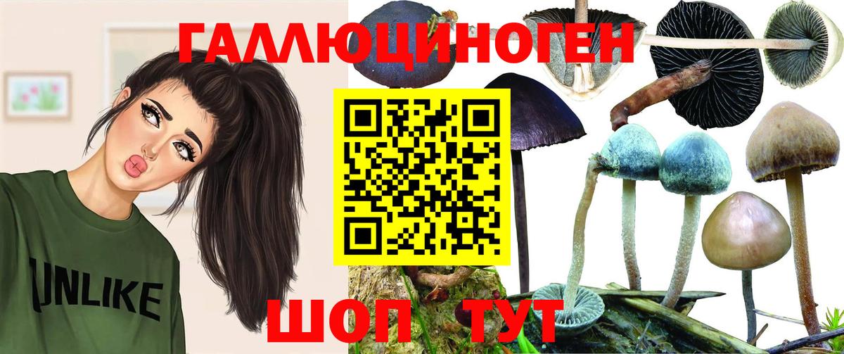 Челябинск  Псилоцибиновые грибы Magic Shrooms  Вход с VPN  Галлюциногенные грибы Magic Shrooms 