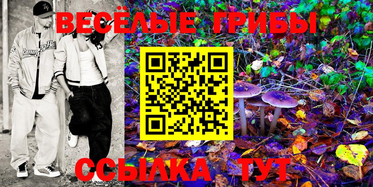 Галлюциногенные грибы прущие грибы Челябинск